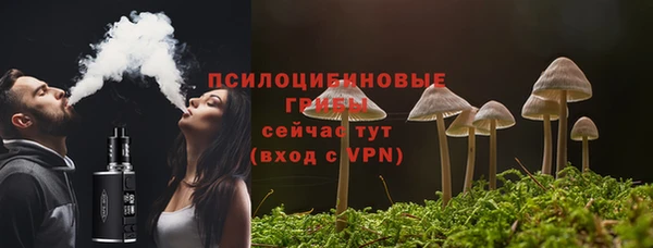 экстази Арсеньев