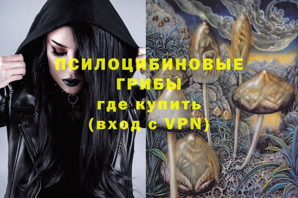 дживик Армянск