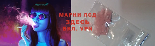 mdpv Богородск