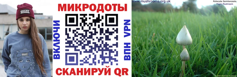 Псилоцибиновые грибы MAGIC MUSHROOMS  закладка  Коломна 